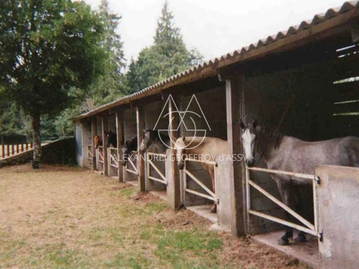 Proche de Castre - Chateau XIXe + 2 maisons + 1 batiment - Parc Naturel