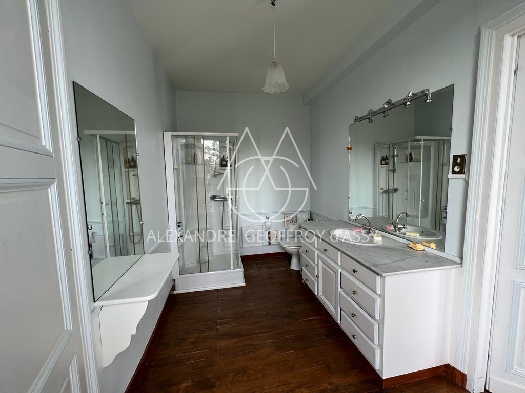 Château XIX° à vendre dans la  Vienne