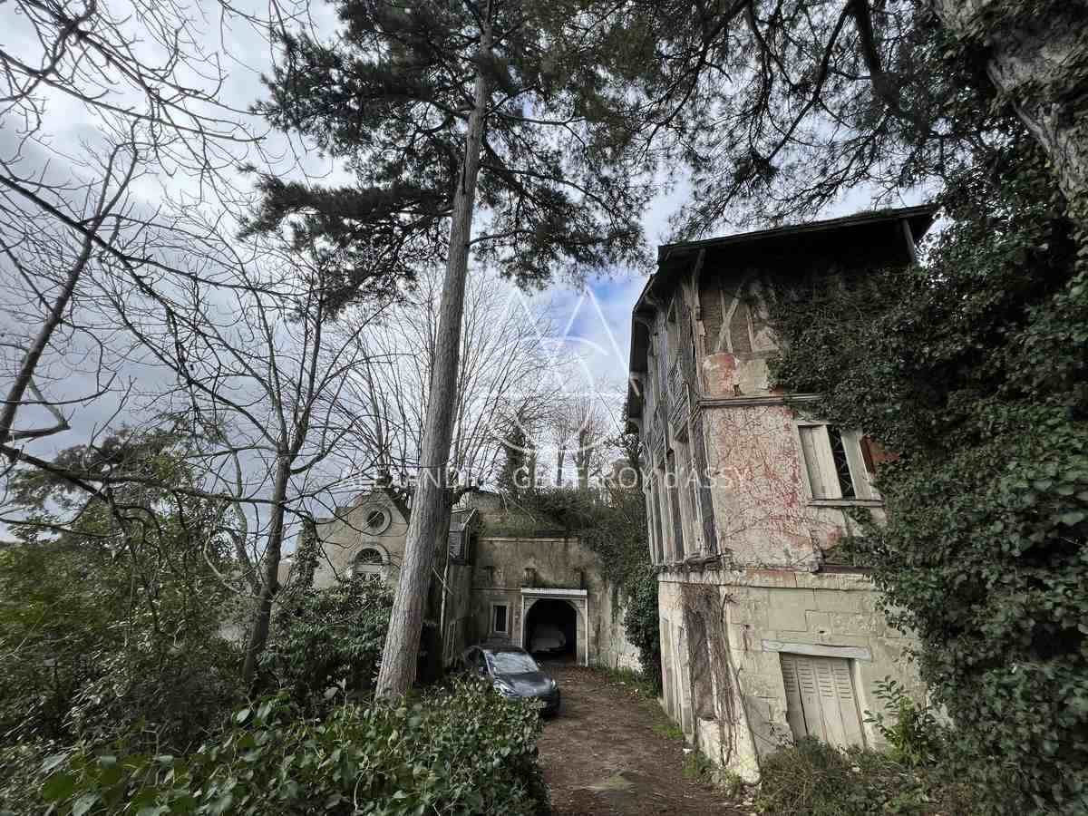 Château XIX° à restauré totalement, vue dominante sur la Vienne à deux pas du centre de CHINON