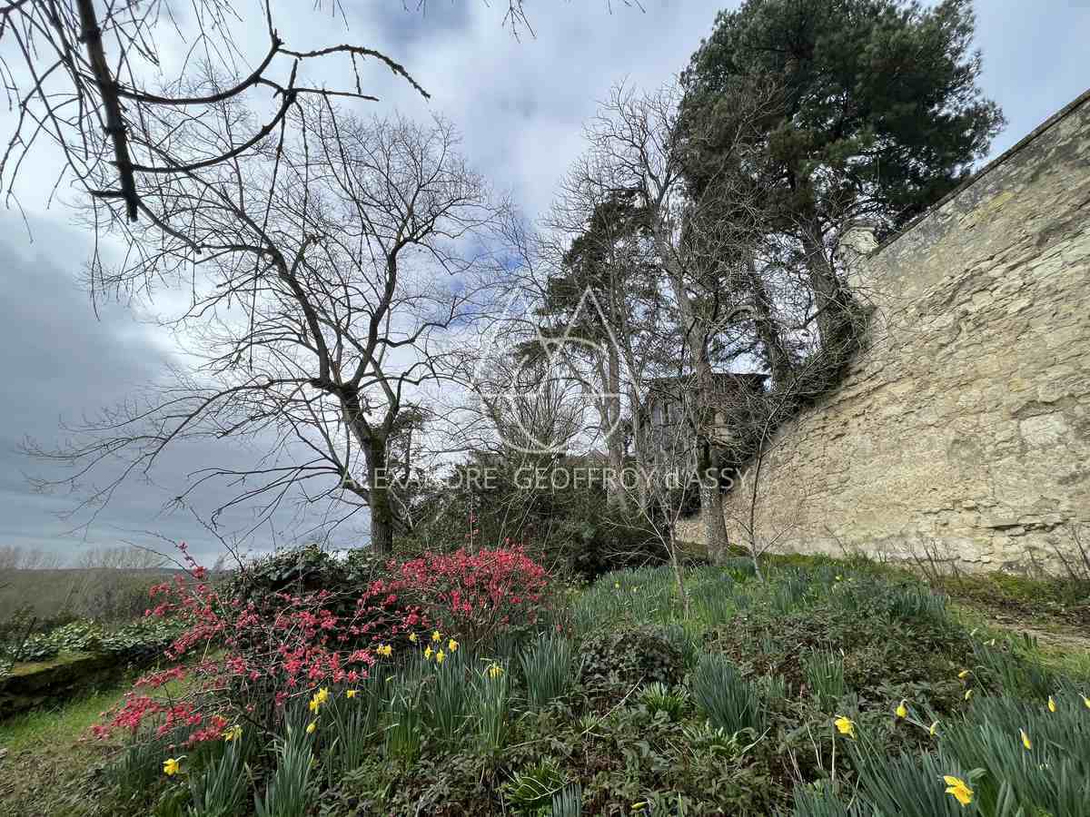 Château XIX° à restauré totalement, vue dominante sur la Vienne à deux pas du centre de CHINON