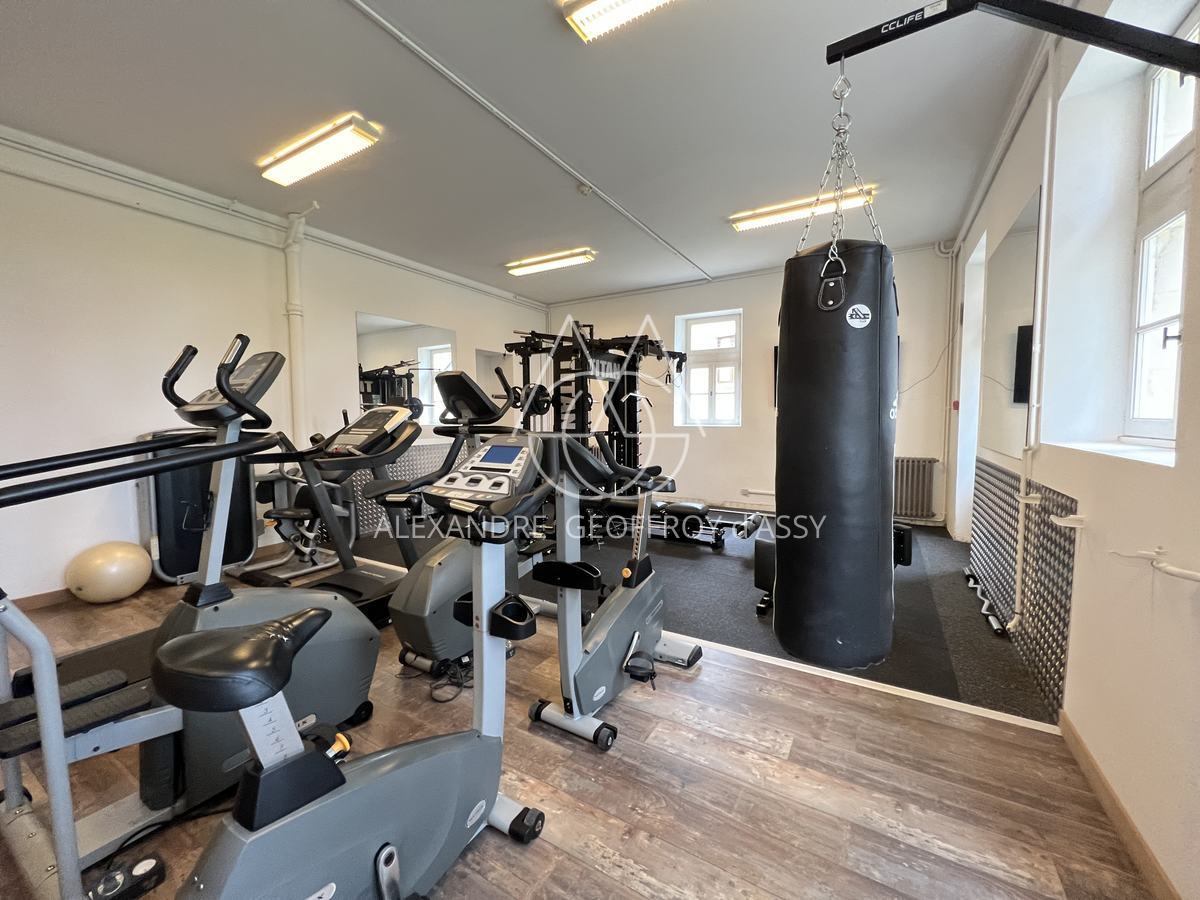 Sublime château XVème entre Le Mans et Tours sur 25 hectares.