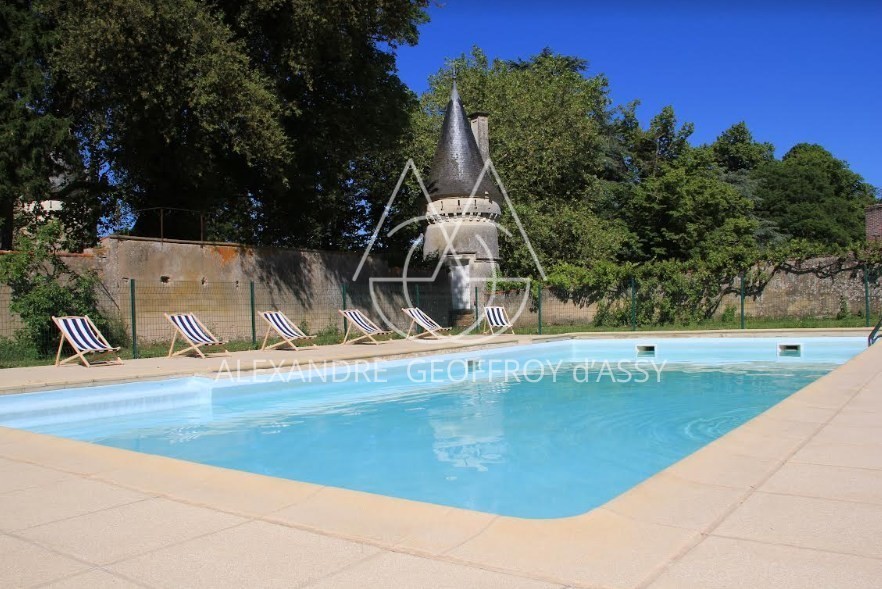 Sublime château XVème entre Le Mans et Tours sur 25 hectares.