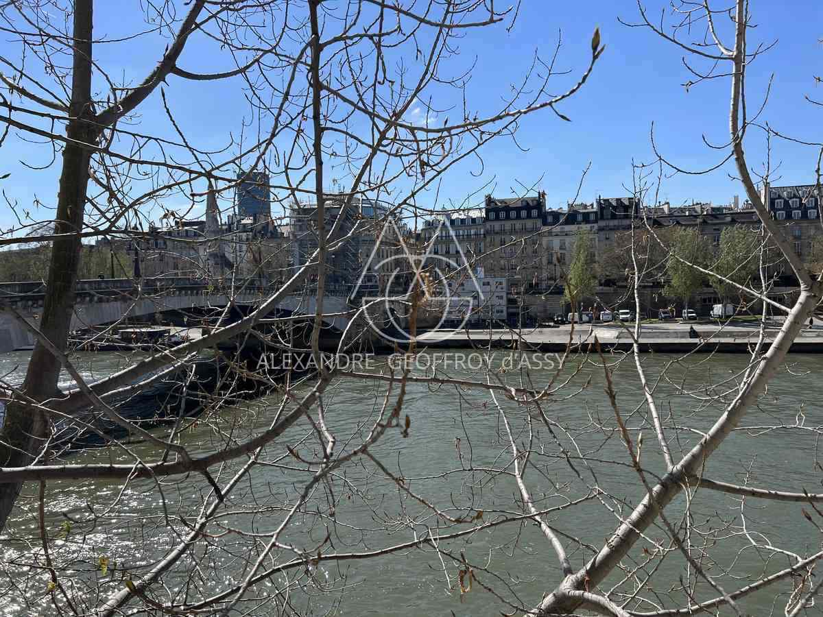 A SAISIR RARE Prix sacrifié appartement 180 M² + garage dans l'île Saint Louis 