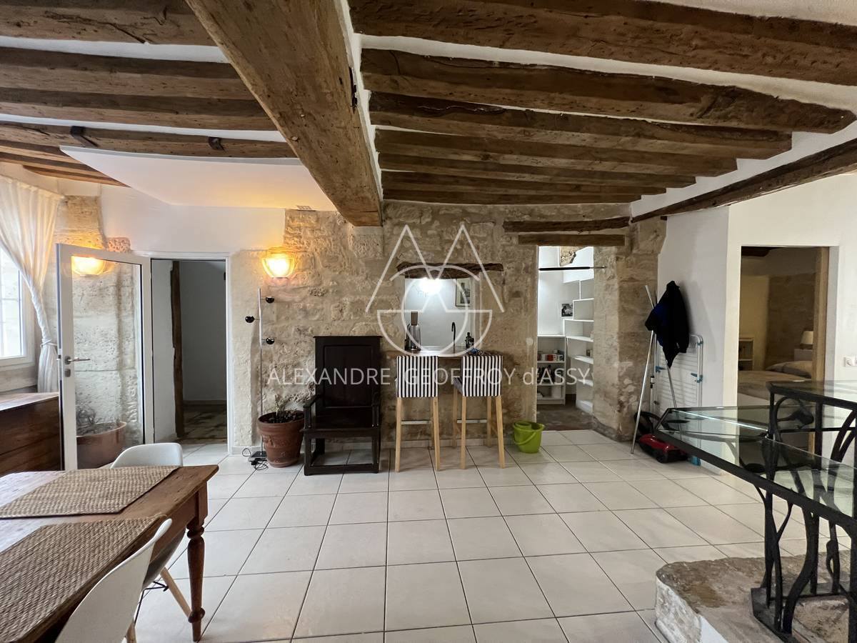 A SAISIR RARE Prix sacrifié appartement 180 M² + garage dans l'île Saint Louis 