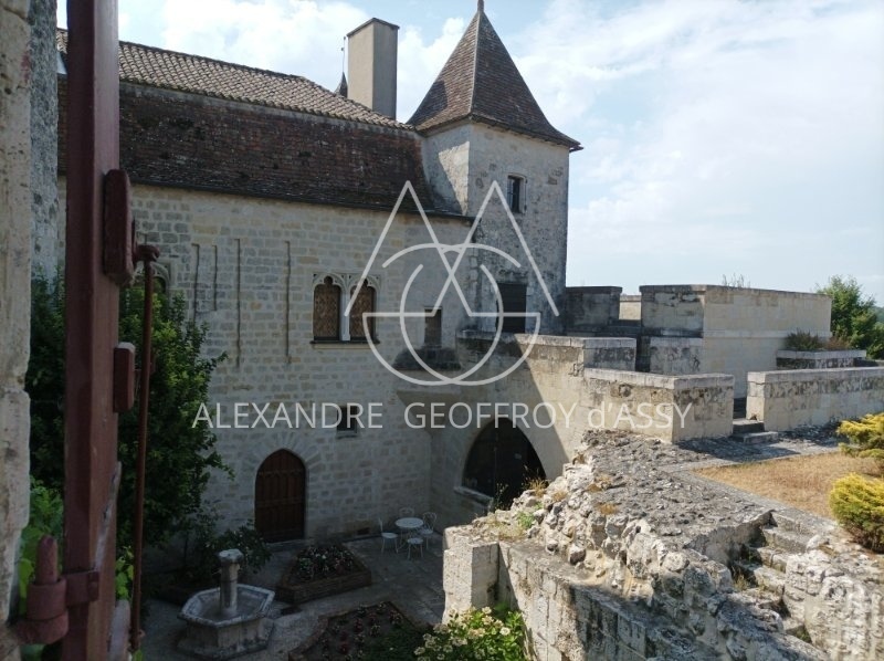 CHATEAU DANS LE LOT ET GARONNE
