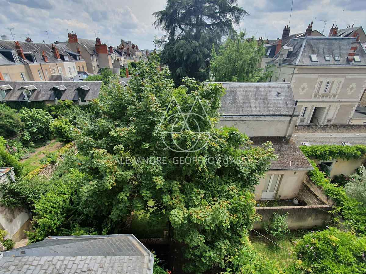 Hotel particulier - 300m² - Centre de TOURS