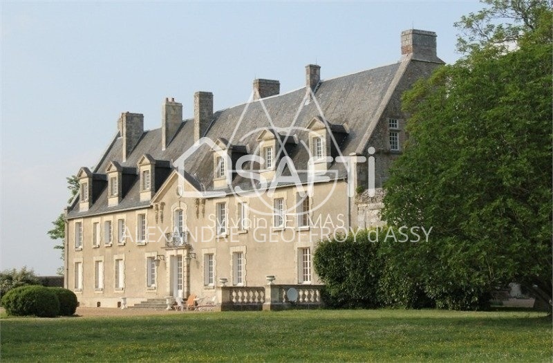 Sublime château entre Loches et Tours
