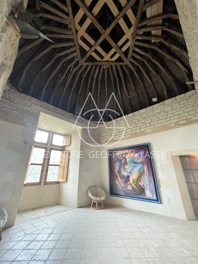 Sublime château du XVIème à 1H15 de PARIS en TGV