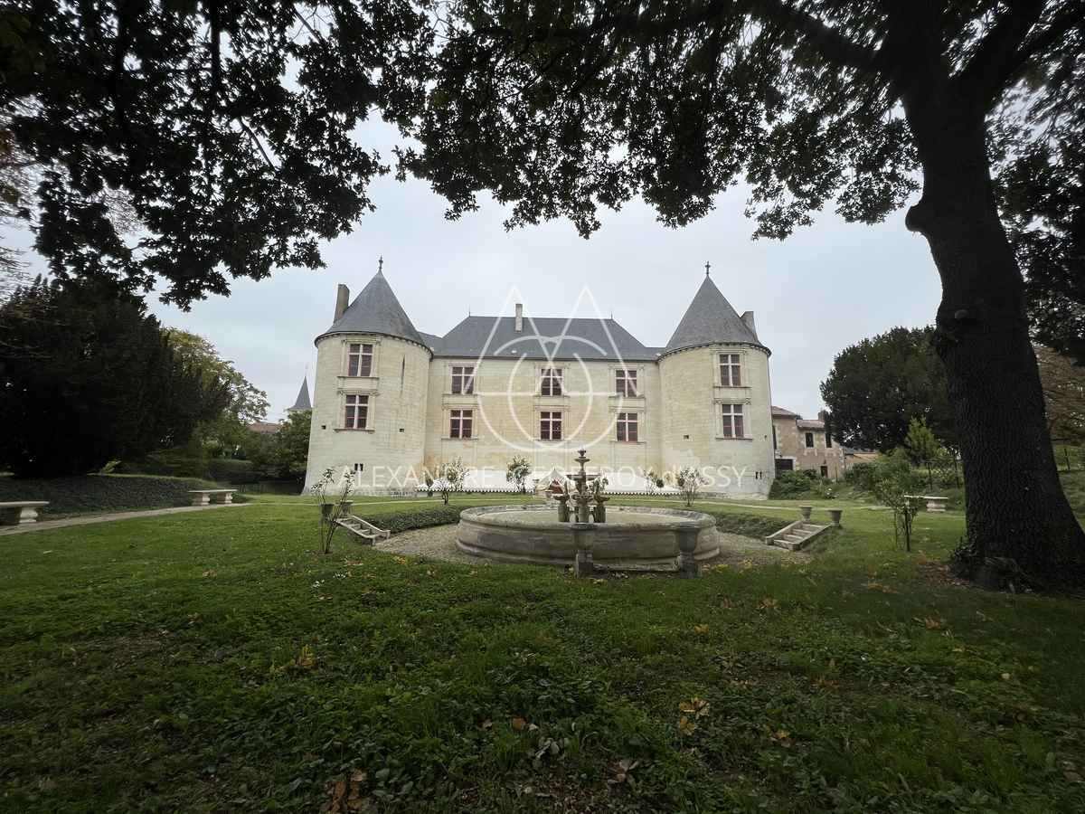 Sublime château du XVIème à 1H15 de PARIS en TGV
