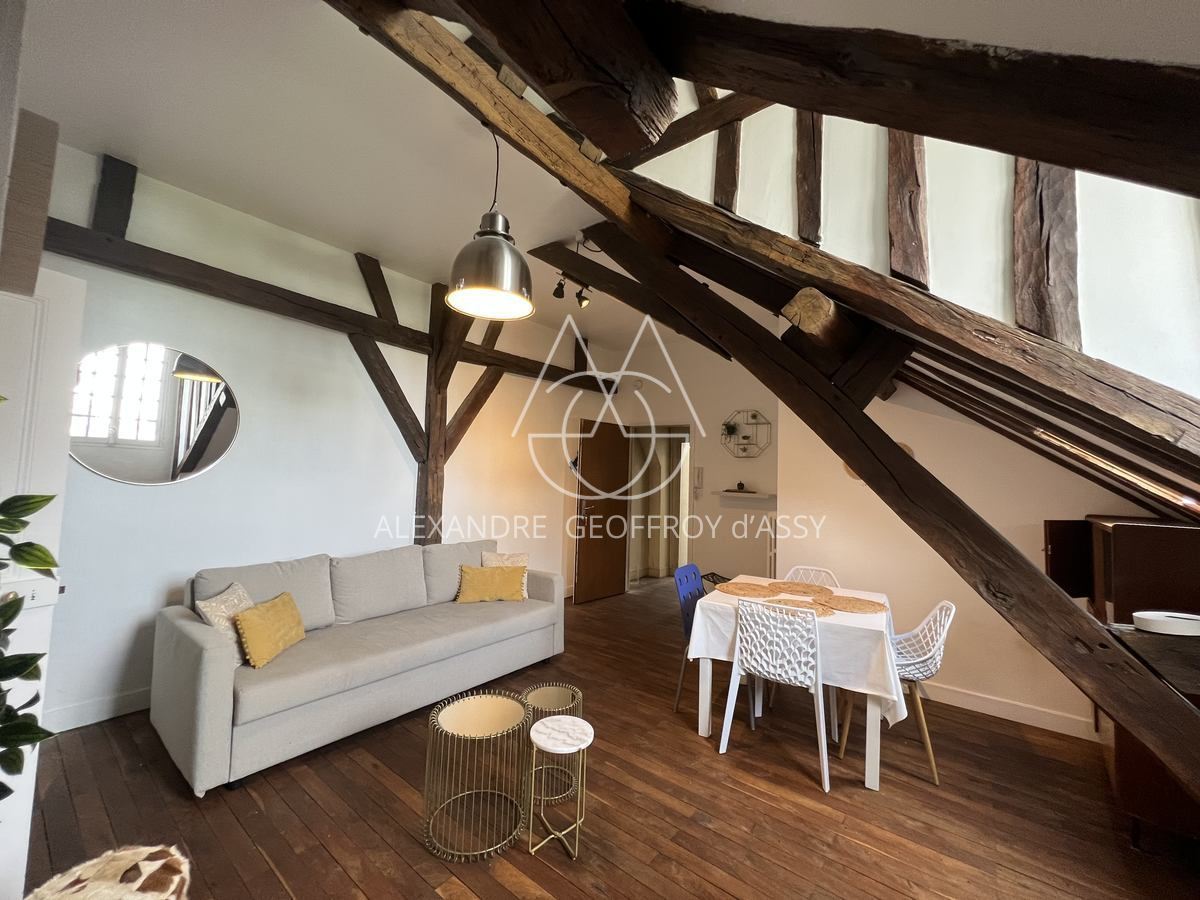 APPARTEMENT DE STANDING A TOURS