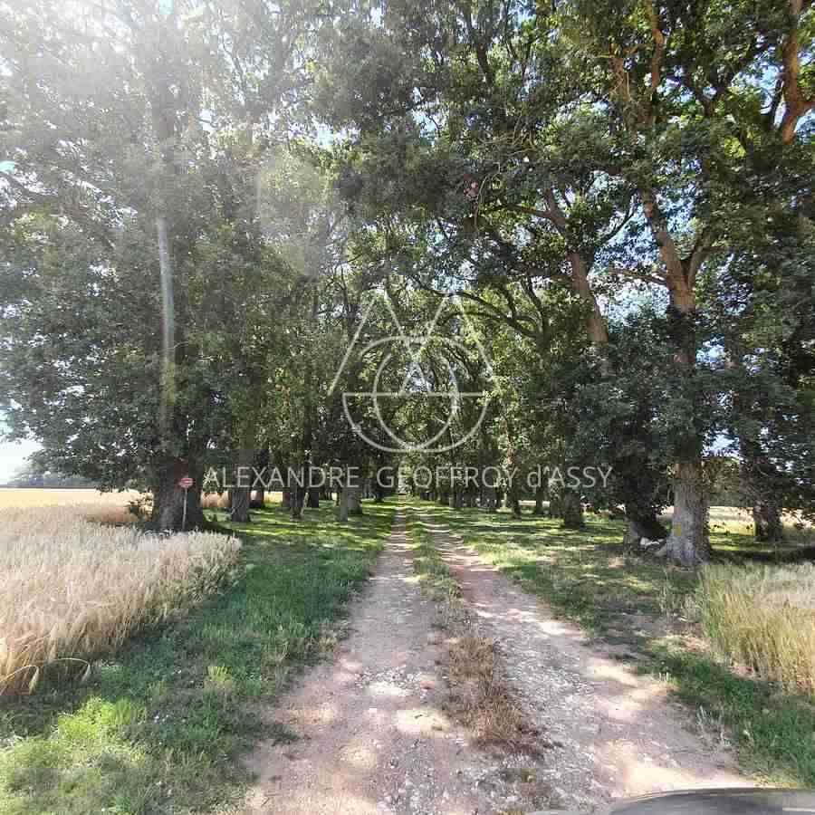 Manoir XIX° avec très nombreuses dépendances 29 hectares