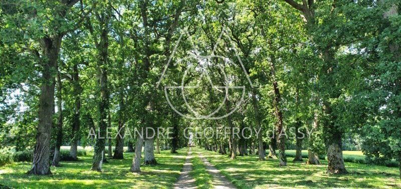 Manoir XIX° avec très nombreuses dépendances 29 hectares