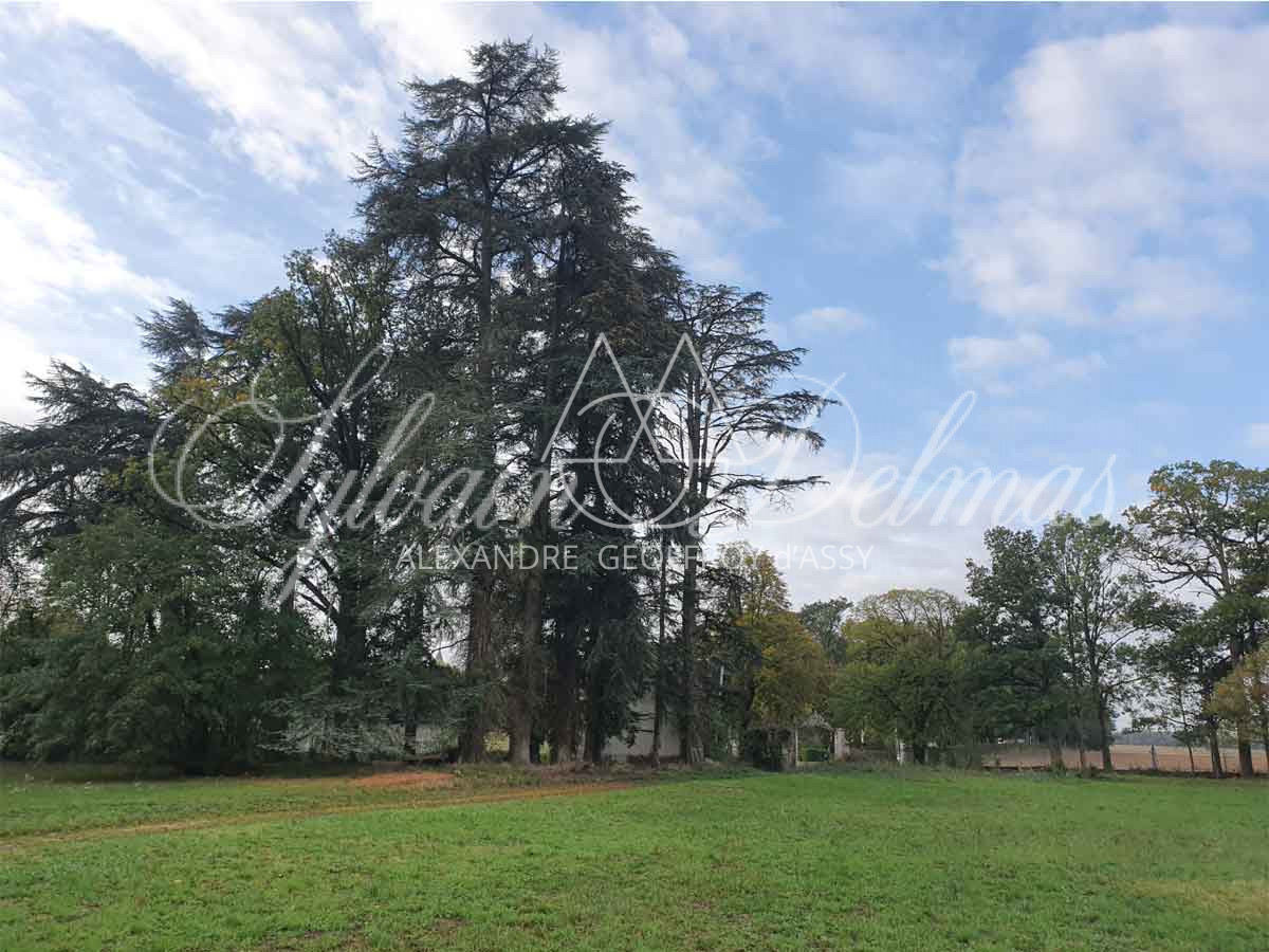 Chateau - 19e - 4400m² - A Restaurer
