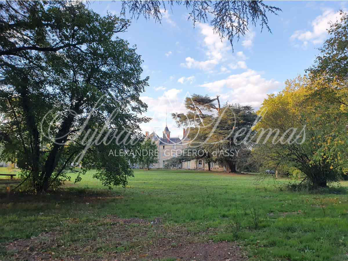 Chateau - 19e - 4400m² - A Restaurer