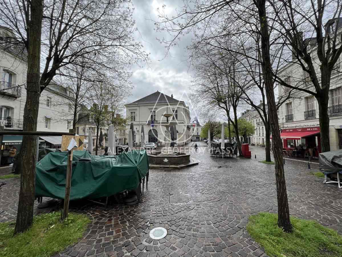 PROPRIETE DU XVI° EN PLEIN CENTRE DE CHINON 320 M²