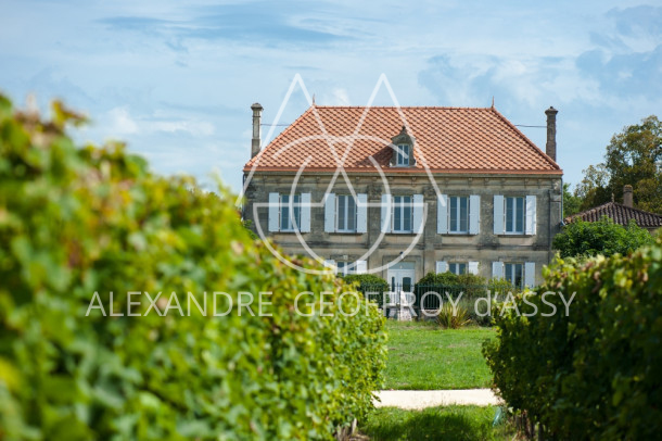 Château XIX° gîtes, chambres d'hôtes et vignoble dans le Bordelais.