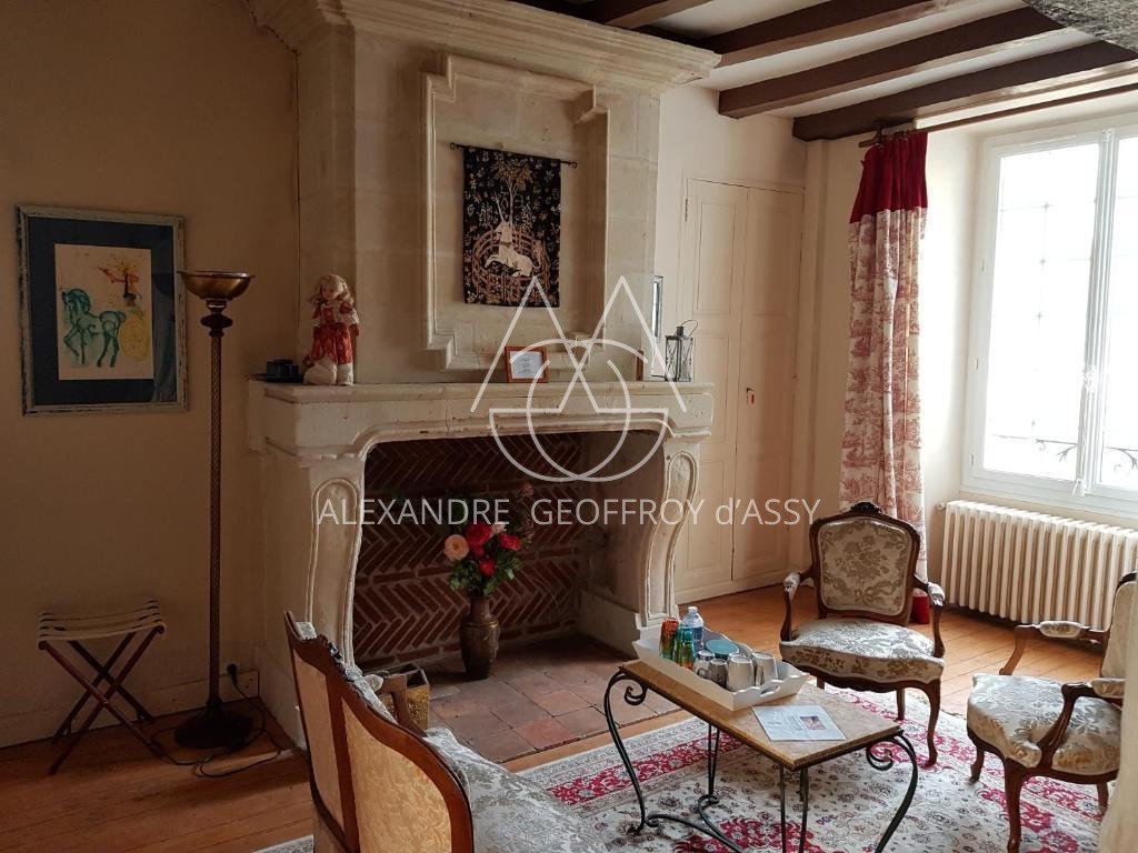 Sublime demeure du XVII et XVIII° entre Chinon et Tours en plein cœur d'une zone touristique et viticole.