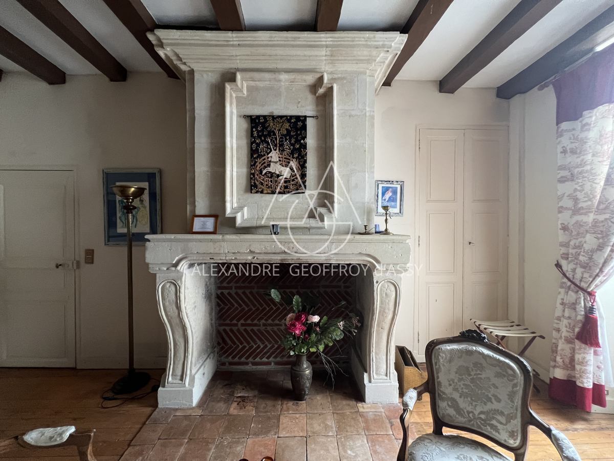 Sublime demeure du XVII et XVIII° entre Chinon et Tours en plein cœur d'une zone touristique et viticole.