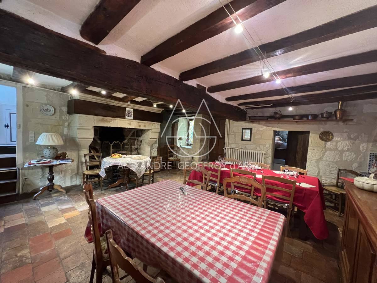 Sublime demeure du XVII et XVIII° entre Chinon et Tours en plein cœur d'une zone touristique et viticole.