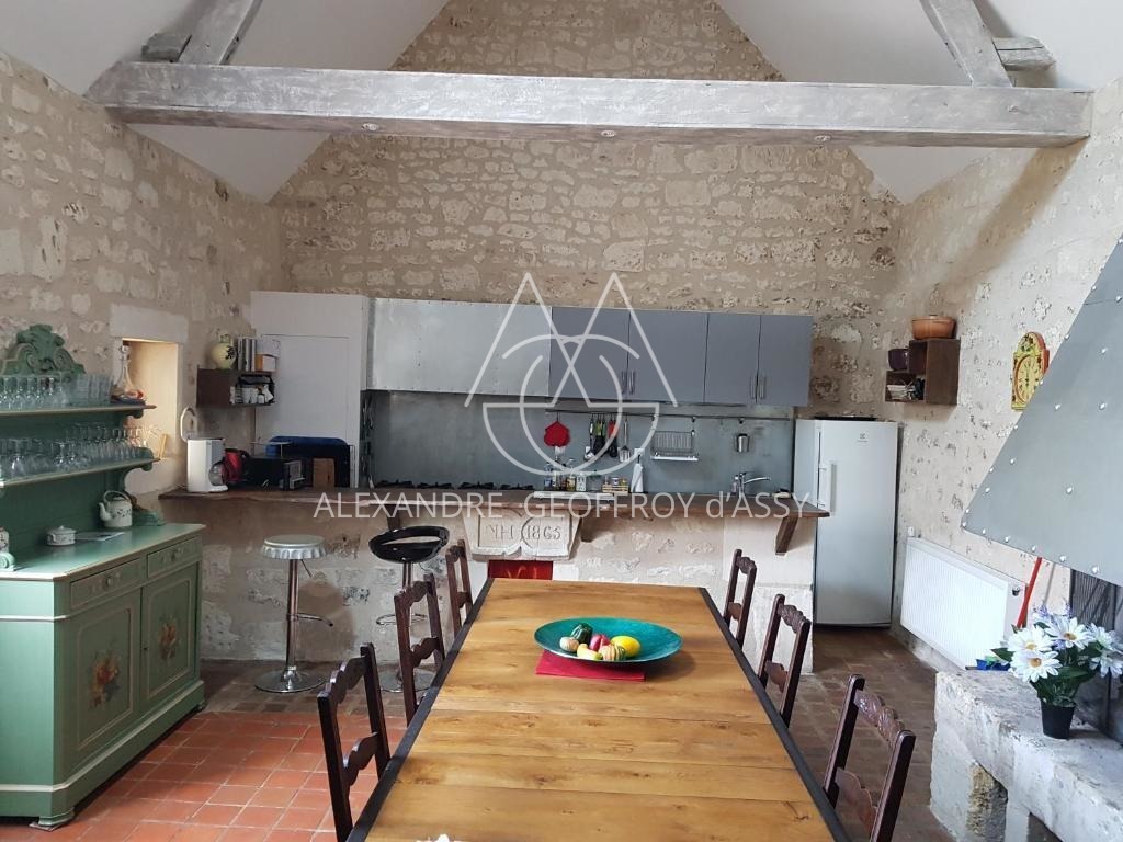 Sublime demeure du XVII et XVIII° entre Chinon et Tours en plein cœur d'une zone touristique et viticole.