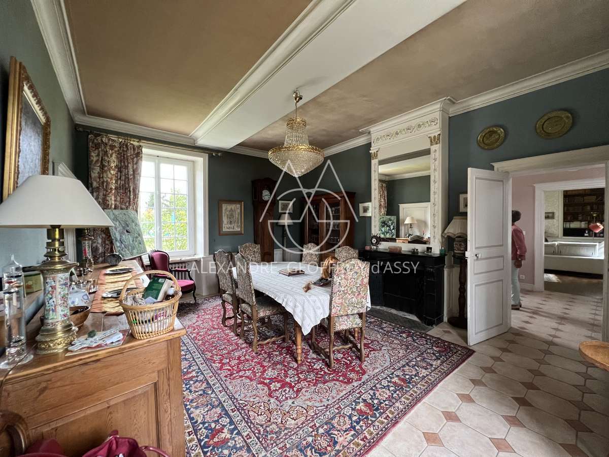 Sublime demeure du XVII et XVIII° entre Chinon et Tours en plein cœur d'une zone touristique et viticole.