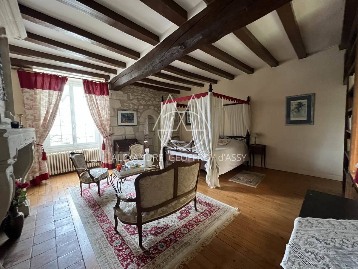 Sublime demeure du XVII et XVIII° entre Chinon et Tours en plein cœur d'une zone touristique et viticole.