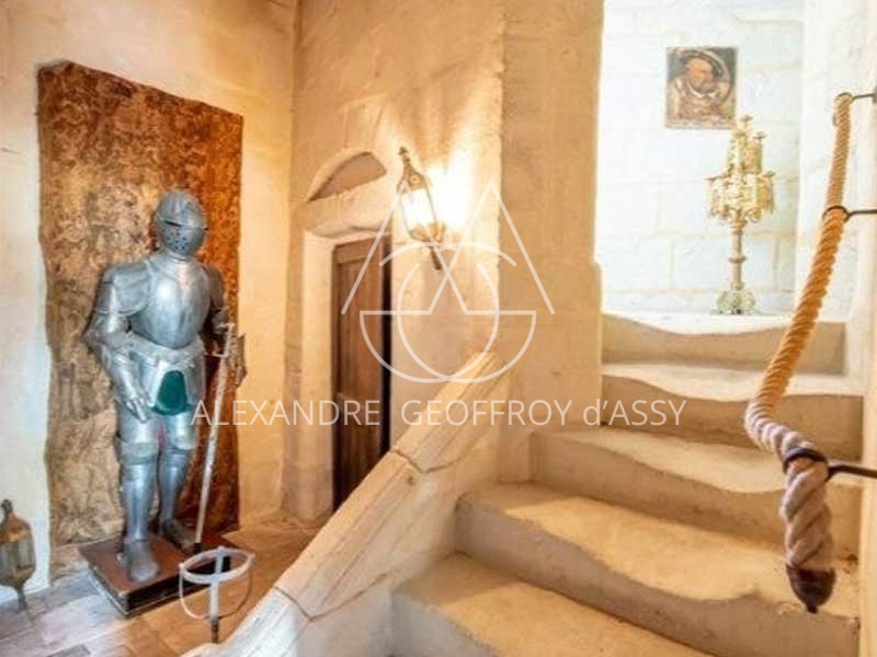 Chateau - 10 pièces - 500m²