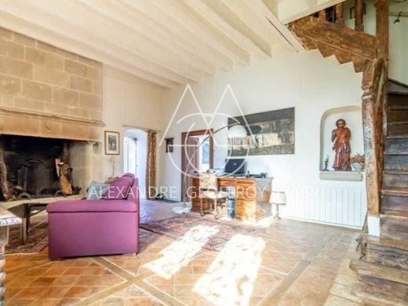 Chateau - 10 pièces - 500m²