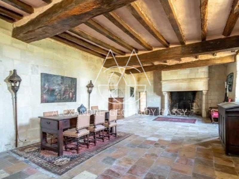 Chateau - 10 pièces - 500m²