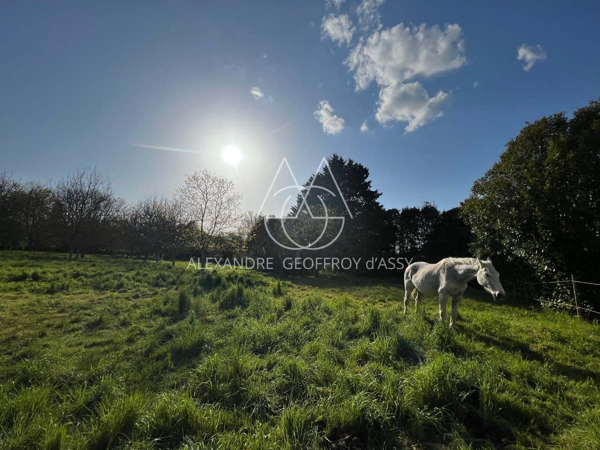 Chateau du XVIe avec gîtes à Niort - 429m² - 24Ha