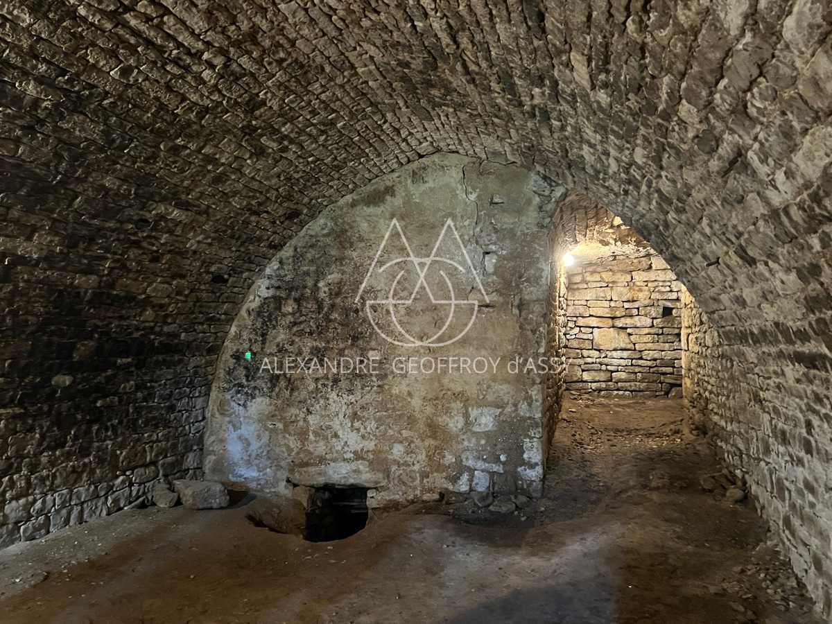 Chateau du XVIe avec gîtes à Niort - 429m² - 24Ha