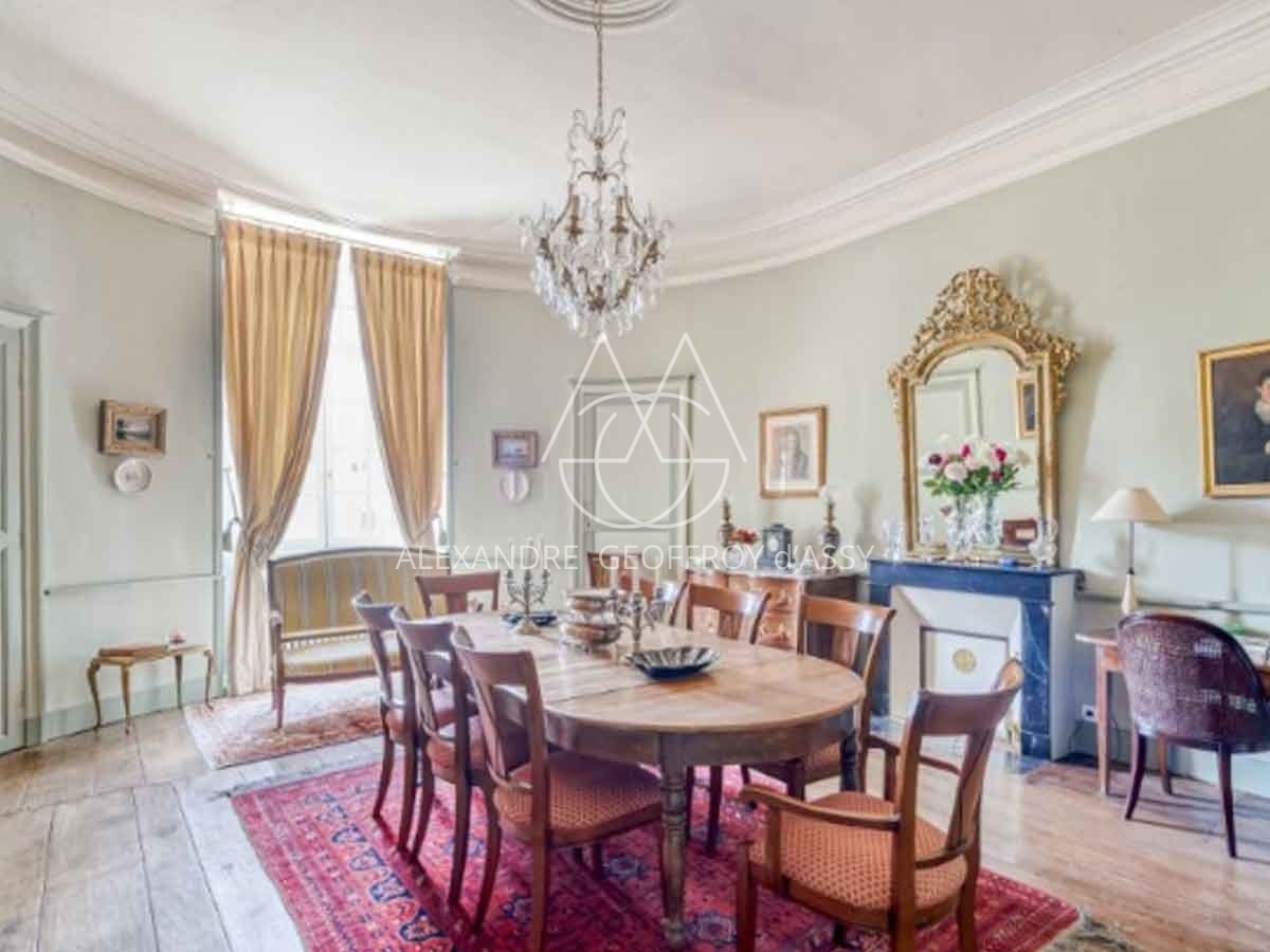 Chateau du XVIe avec gîtes à Niort - 429m² - 24Ha