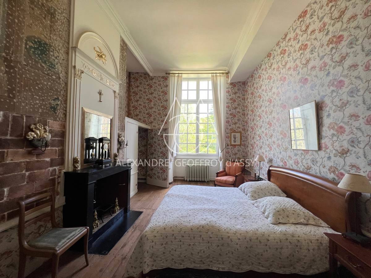 Chateau du XVIe avec gîtes à Niort - 429m² - 24Ha