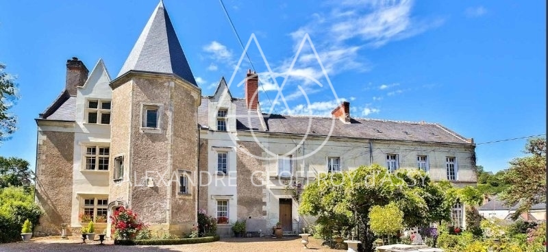 château plein centre de Langeais