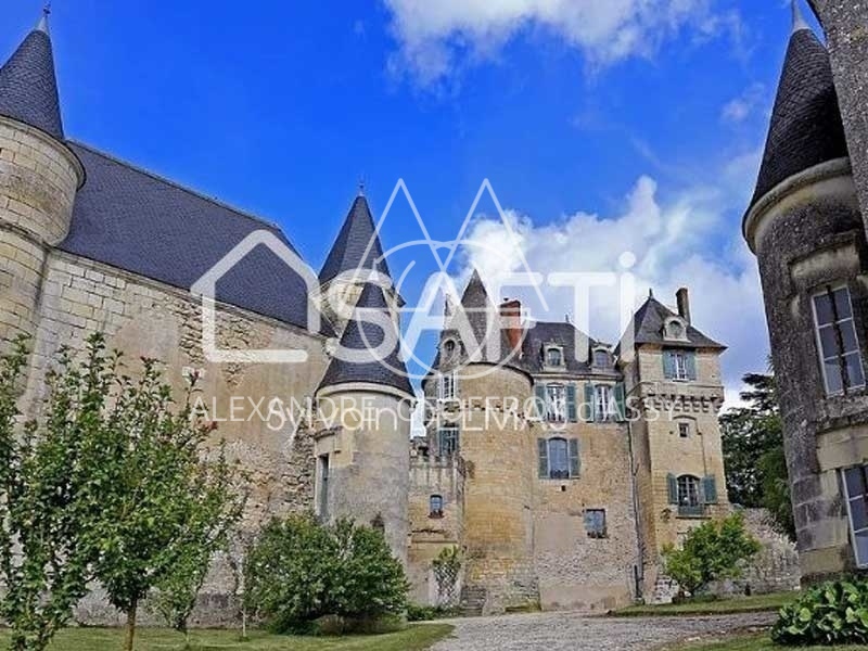 Chateau - 25 pièces - 1500m²