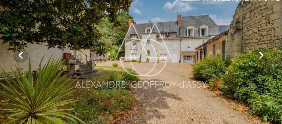 MANOIR XVII°  25 chambres proche de Chinon idéal exploitation gîtes ,chambres d'hôtes ou hôtel