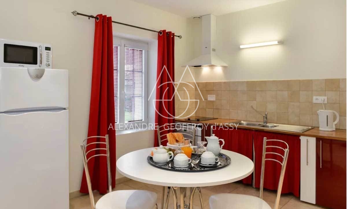 MANOIR XVII°  25 chambres proche de Chinon idéal exploitation gîtes ,chambres d'hôtes ou hôtel