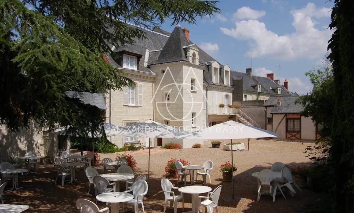 MANOIR XVII°  25 chambres proche de Chinon idéal exploitation gîtes ,chambres d'hôtes ou hôtel