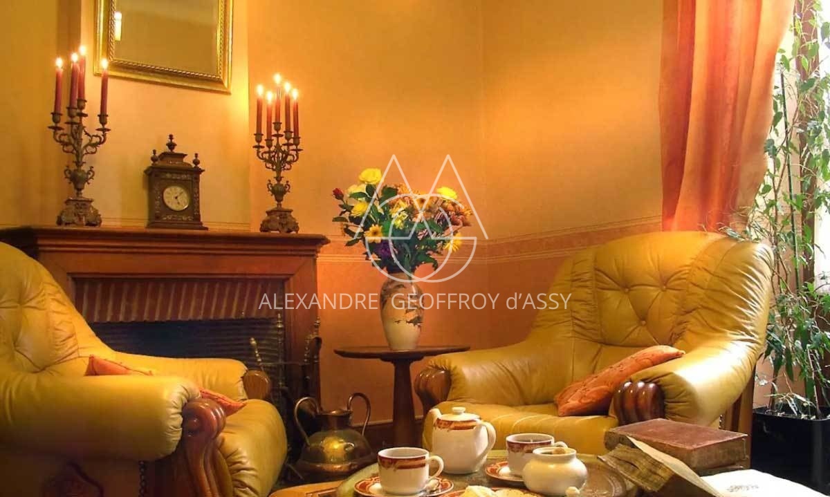 MANOIR XVII°  25 chambres proche de Chinon idéal exploitation gîtes ,chambres d'hôtes ou hôtel