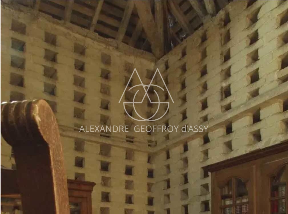 MANOIR XVII°  25 chambres proche de Chinon idéal exploitation gîtes ,chambres d'hôtes ou hôtel