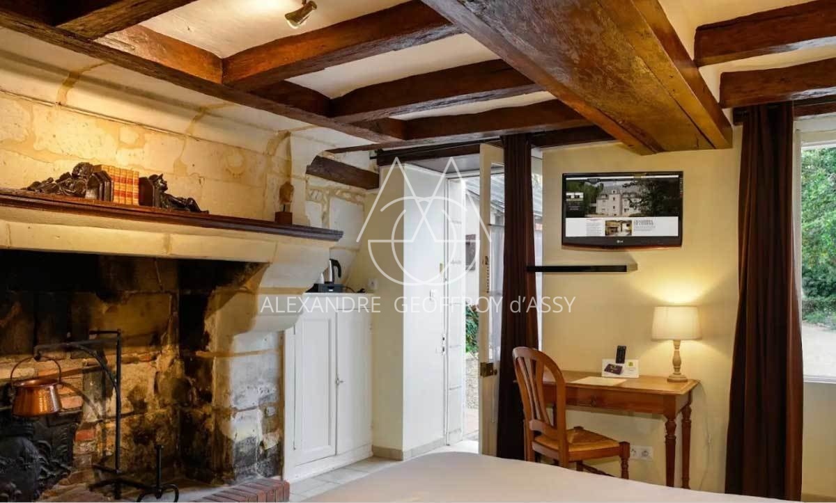 MANOIR XVII°  25 chambres proche de Chinon idéal exploitation gîtes ,chambres d'hôtes ou hôtel