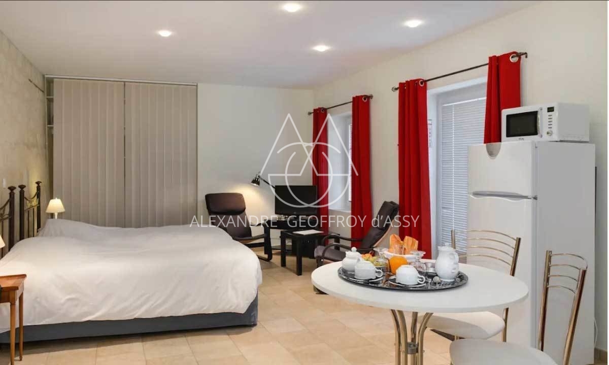 MANOIR XVII°  25 chambres proche de Chinon idéal exploitation gîtes ,chambres d'hôtes ou hôtel