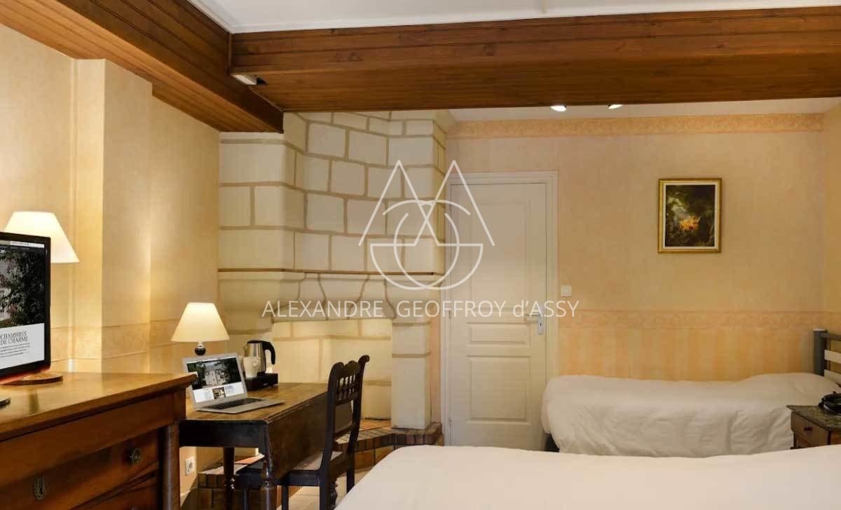 MANOIR XVII°  25 chambres proche de Chinon idéal exploitation gîtes ,chambres d'hôtes ou hôtel