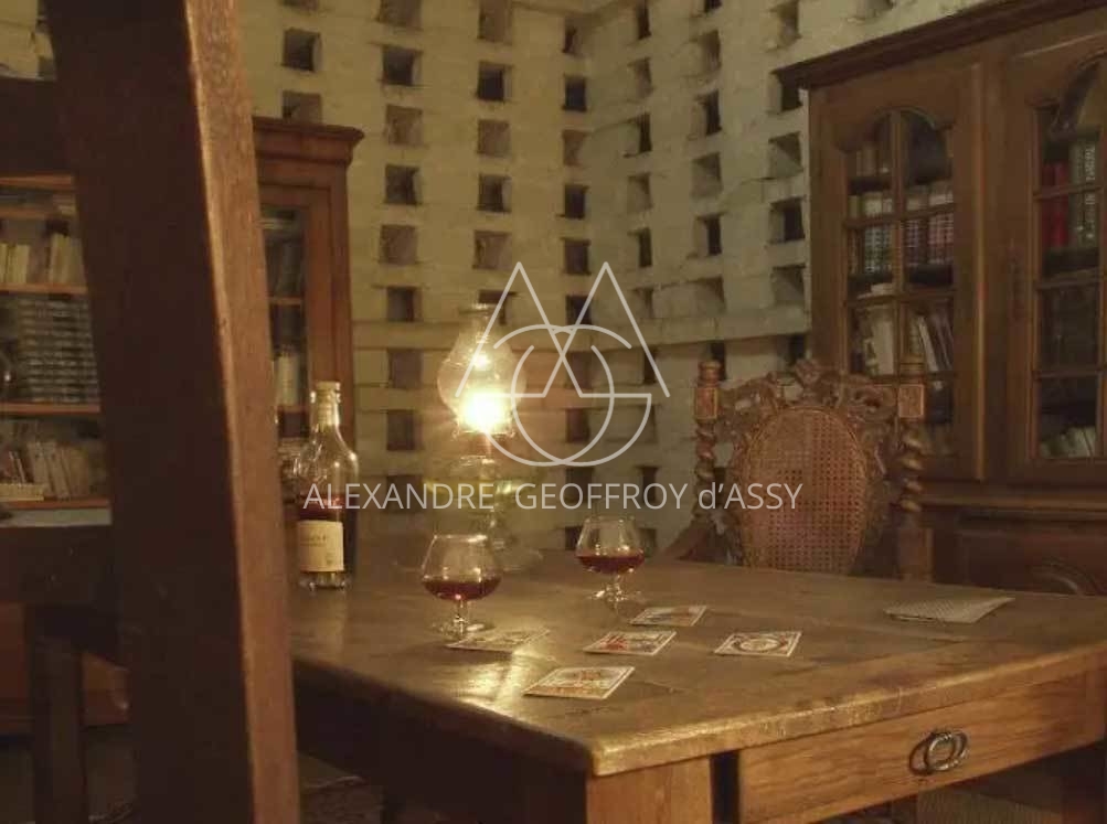 MANOIR XVII°  25 chambres proche de Chinon idéal exploitation gîtes ,chambres d'hôtes ou hôtel