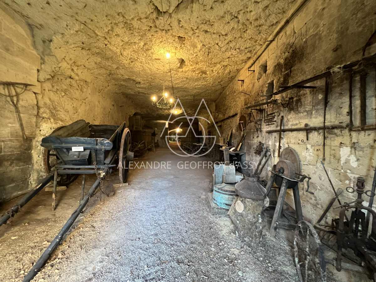 Manoir du XV° à 20 minutes de Tours entièrement restauré 