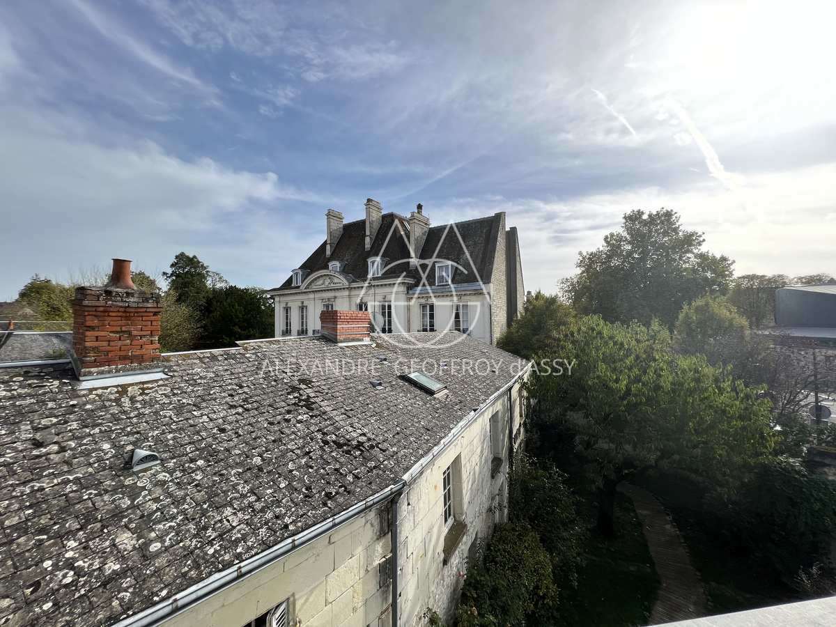 Rare hôtel particulier du XIX ème avec dépendances, 2000 M² sur un parc de 4700 m² en ville !!