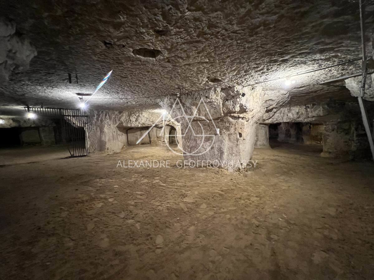 Maison contemporaine de 320M² et 500M² de jardin proche quartier Cathédrale