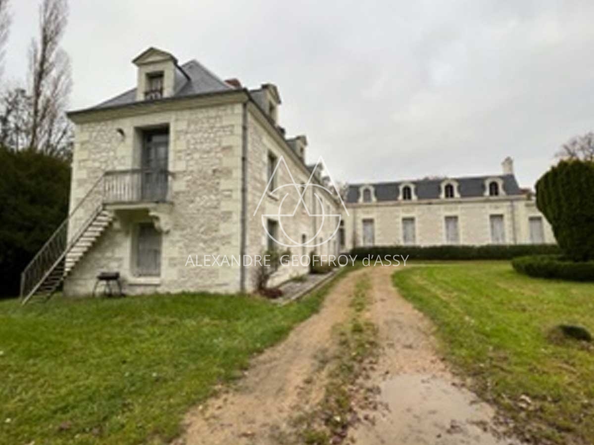 Chateau XIXe proche Zoo de Beauval - 2000m² - 8Ha