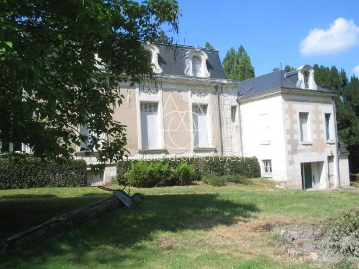 Chateau XIXe proche Zoo de Beauval - 2000m² - 8Ha
