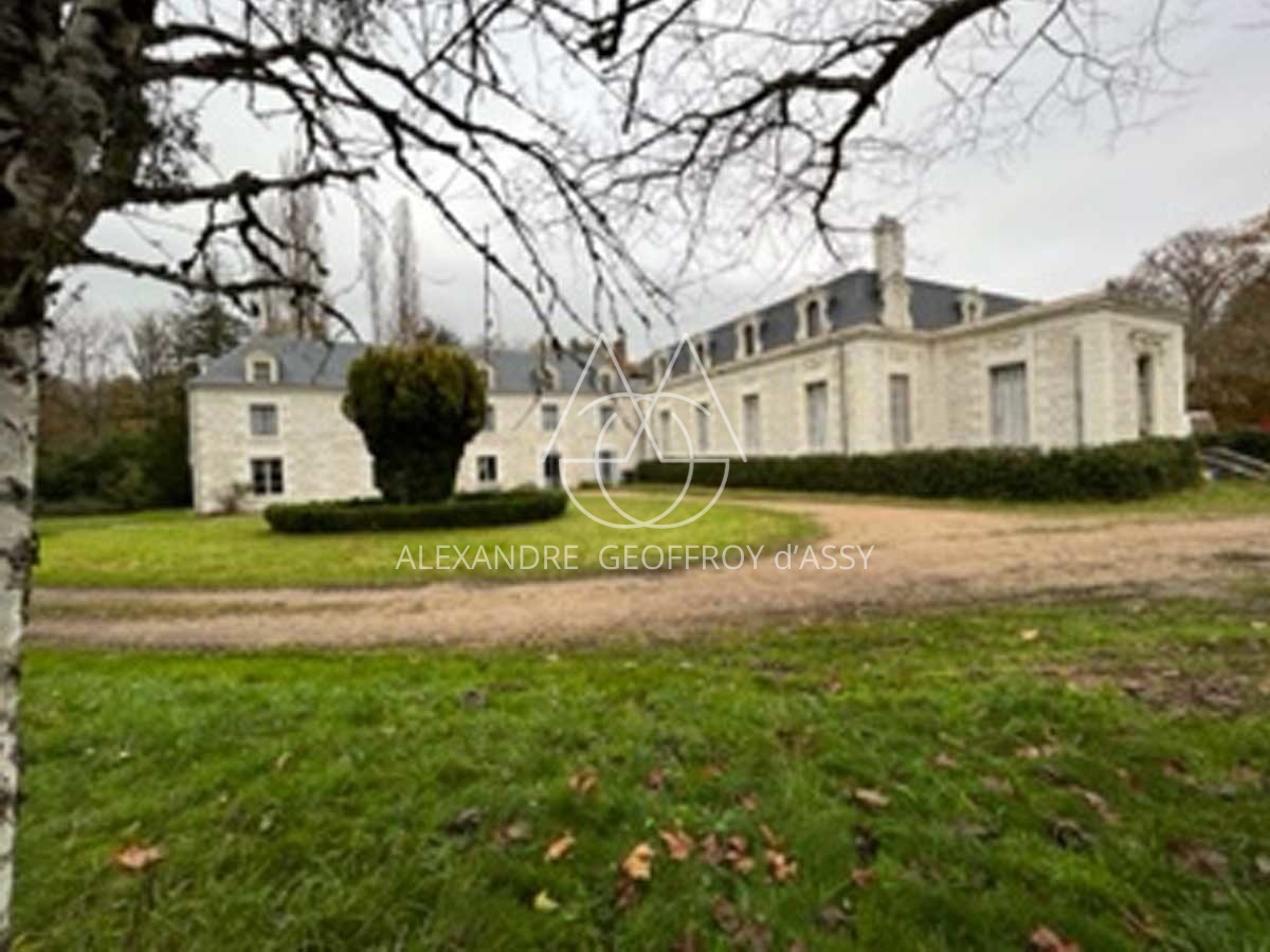 Chateau XIXe proche Zoo de Beauval - 2000m² - 8Ha